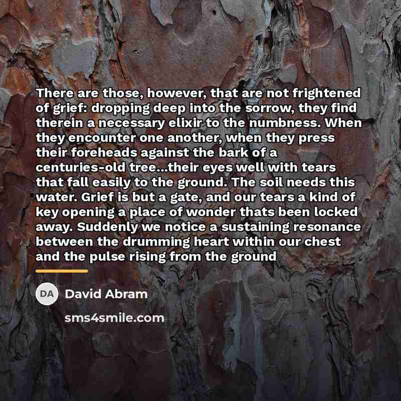 “There are those, however, that are not frightened of grief:…” quote by David Abram