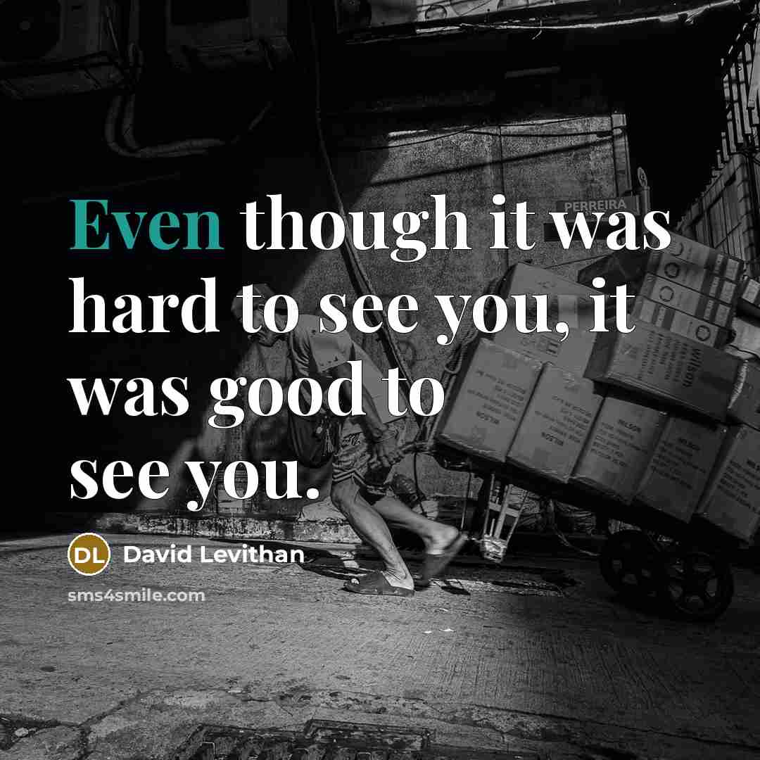 “Even though it was hard to see you, it was…” quote by David Levithan