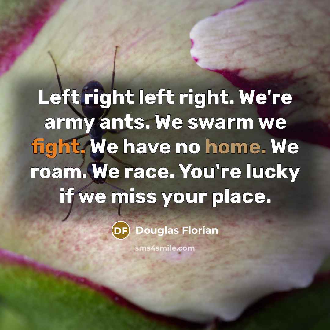 “Left right left right. We're army ants. We swarm we fight. We have no home. We roam. We race. You're lucky if we miss your place.” quote by Douglas Florian