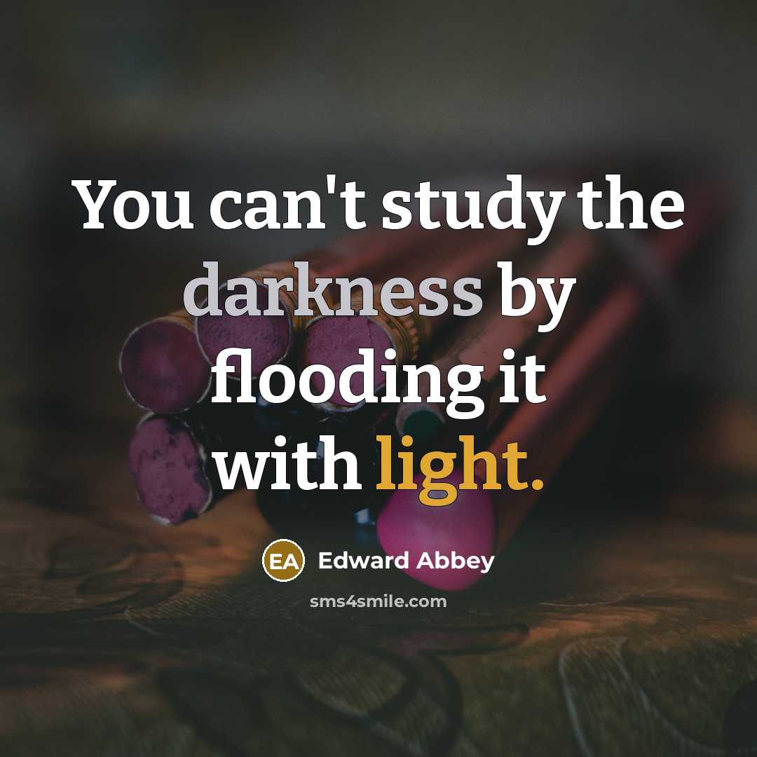“You can't study the darkness by flooding it with light.…” quote by Edward Abbey