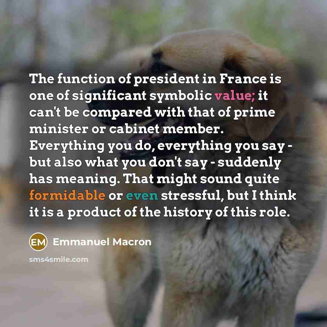 “The function of president in France is one of significant…” quote by Emmanuel Macron