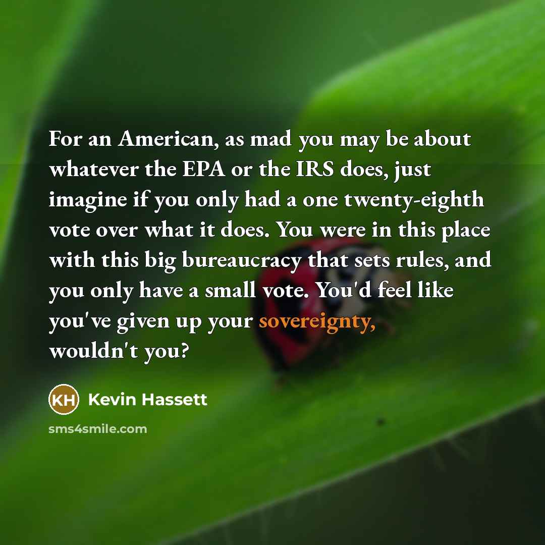 “For an American, as mad you may be about whatever…” quote by Kevin Hassett