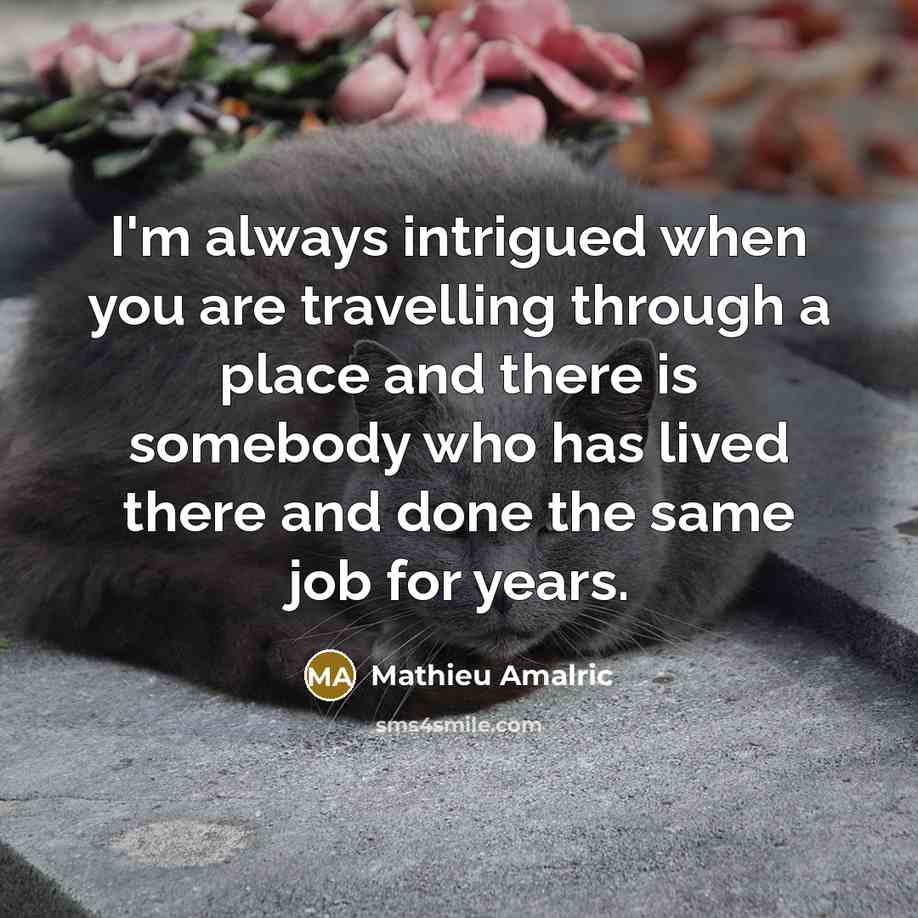 “I'm always intrigued when you are travelling through a place…” quote by Mathieu Amalric