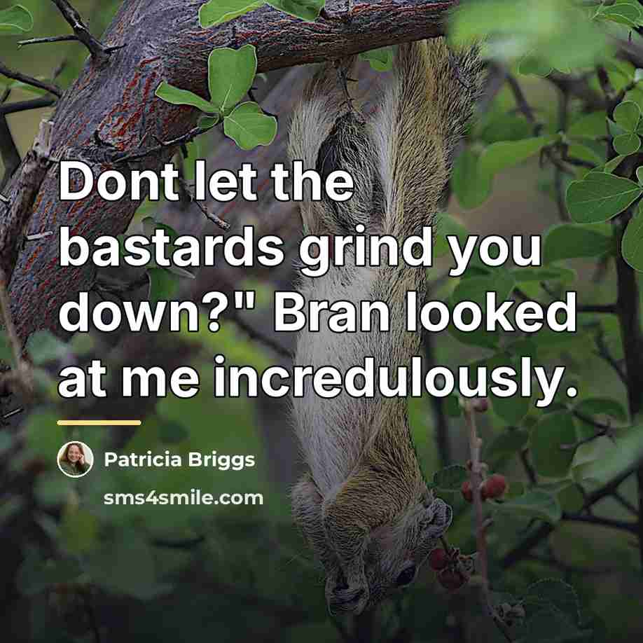 “Dont let the bastards grind you down?" Bran looked at…” quote by Patricia Briggs