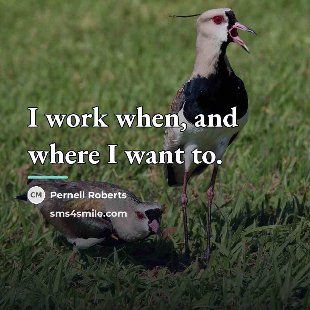 “I work when, and where I want to.…” quote by Pernell Roberts