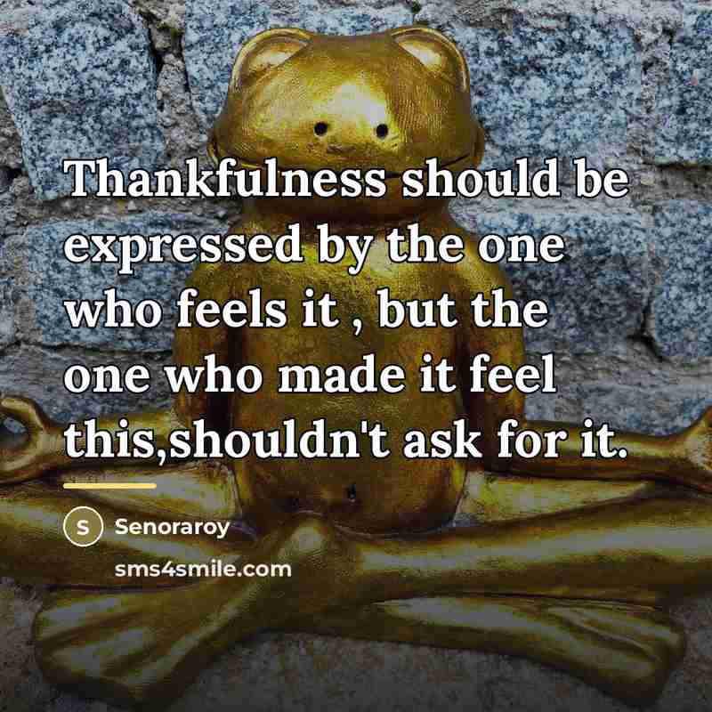 “Thankfulness should be expressed by the one who feels it…” quote by Senoraroy