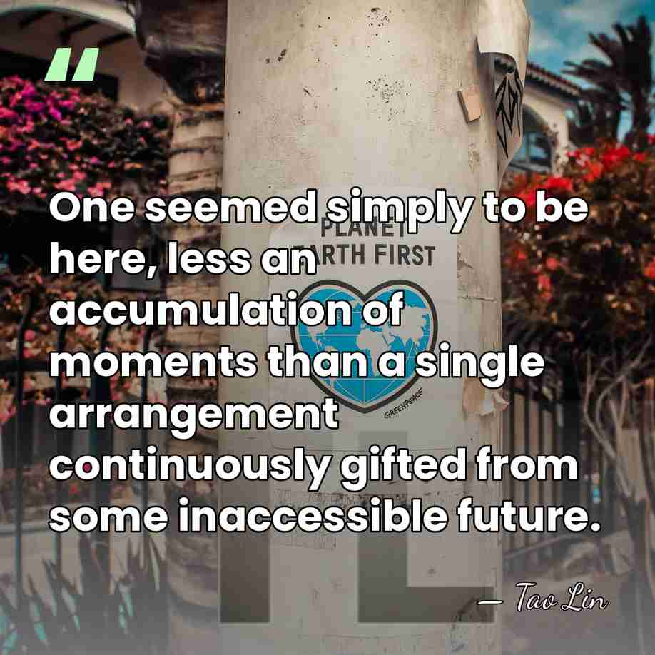 One seemed simply to be here, less an accumulation of moments than&hellip; - Tao Lin