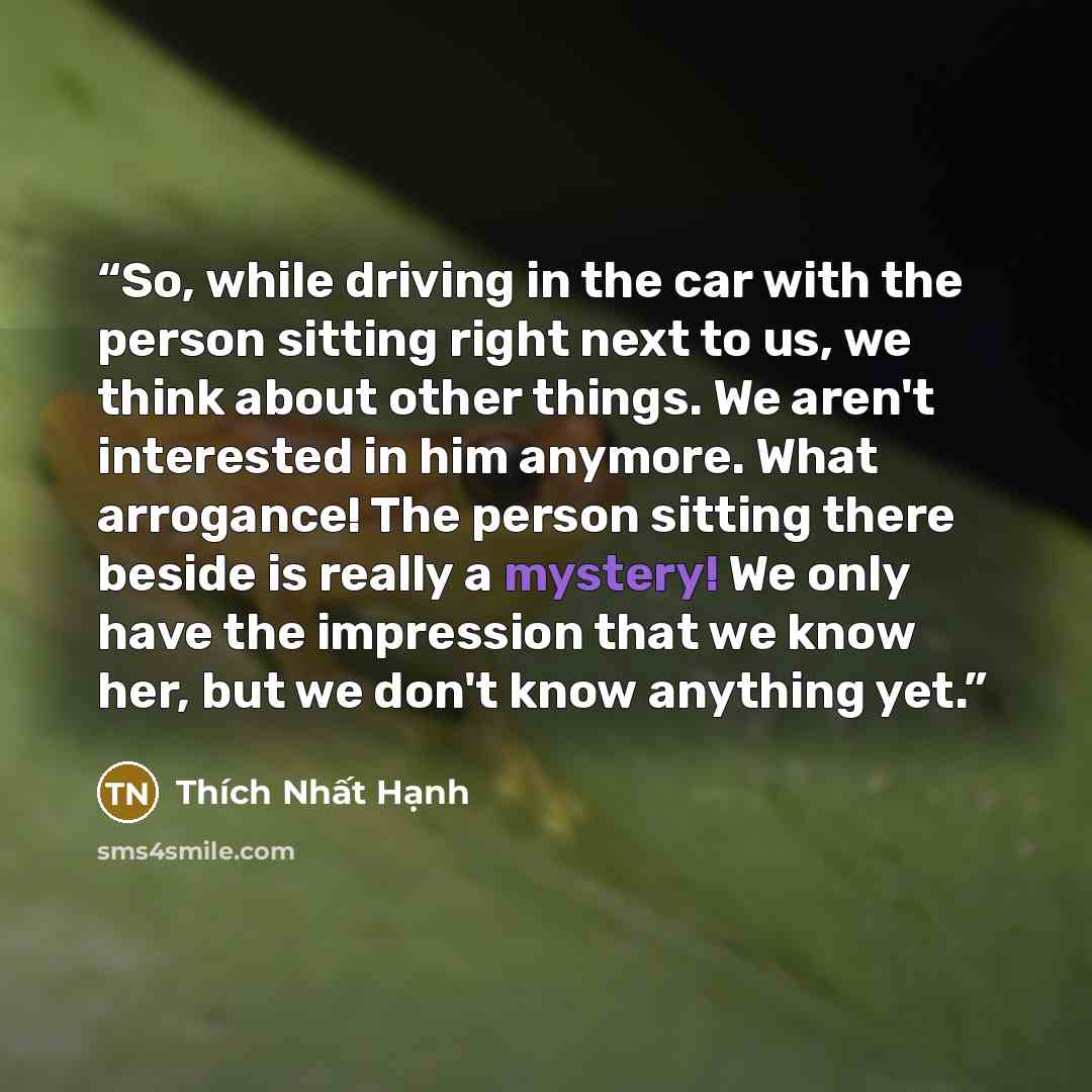 “So, while driving in the car with the person sitting right next to us, we think about other things. We aren't interested in him anymore. What arrogance! The person sitting there beside is really a mystery! We only have the impression that we know her, but we don't know anything yet.” quote by Thich Nhat Hanh