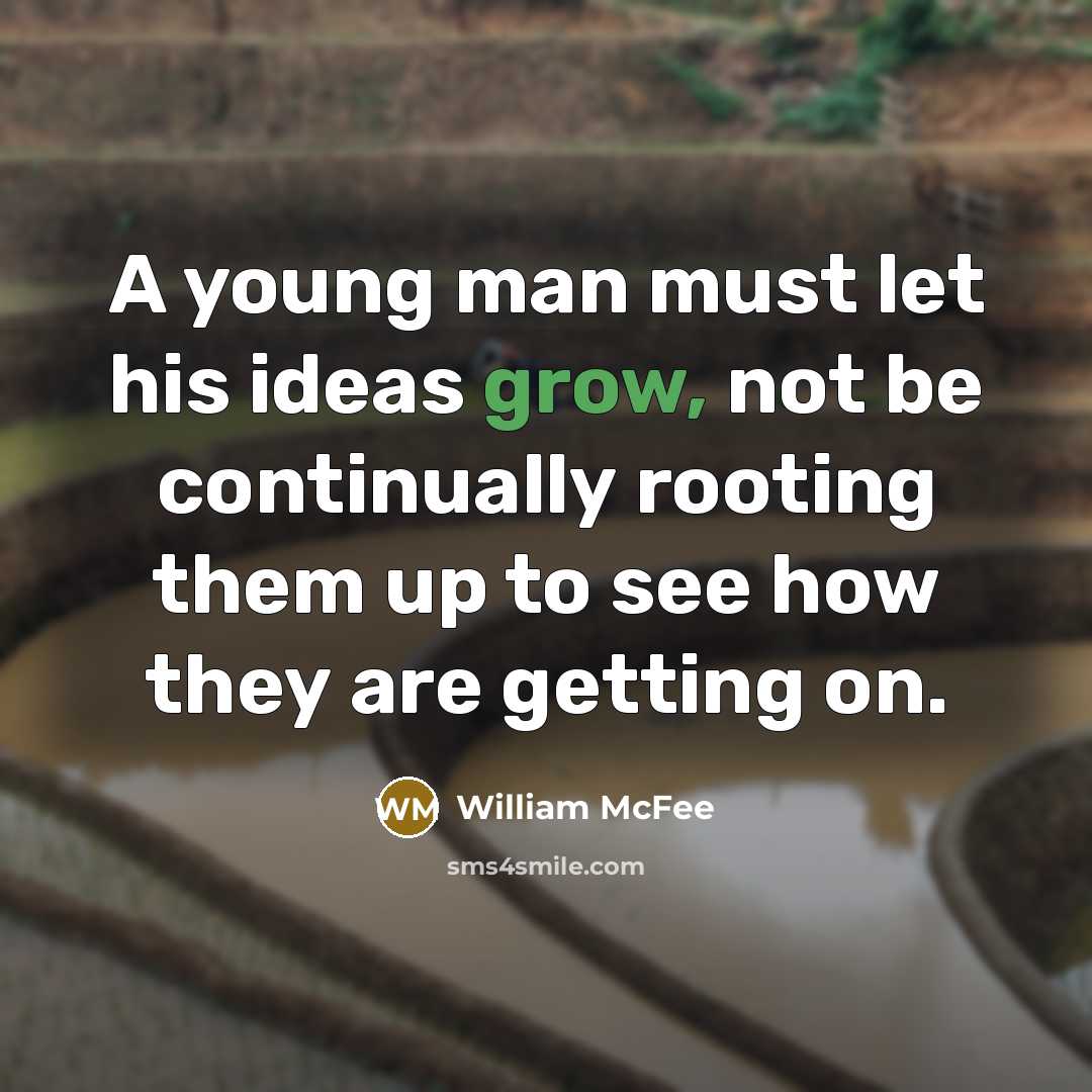 “A young man must let his ideas grow, not be…” quote by William McFee