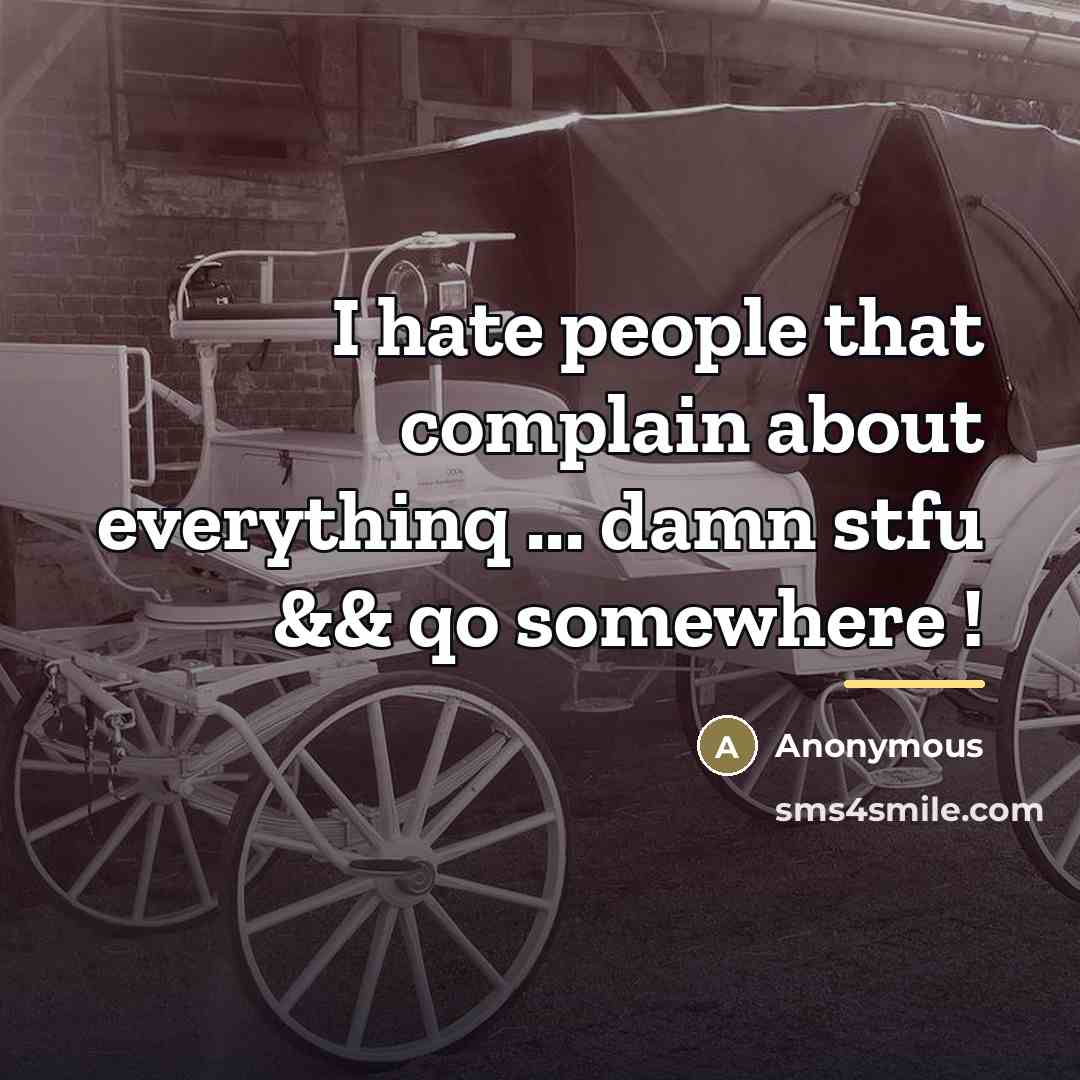 “I hate people that complain about everythinq ... damn stfu…” quote by Anonymous