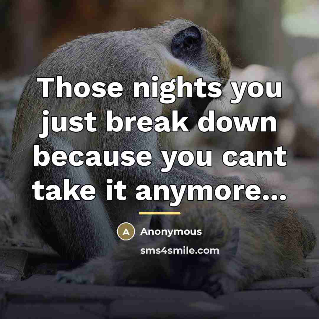 “Those nights you just break down because you cant take…” quote by Anonymous