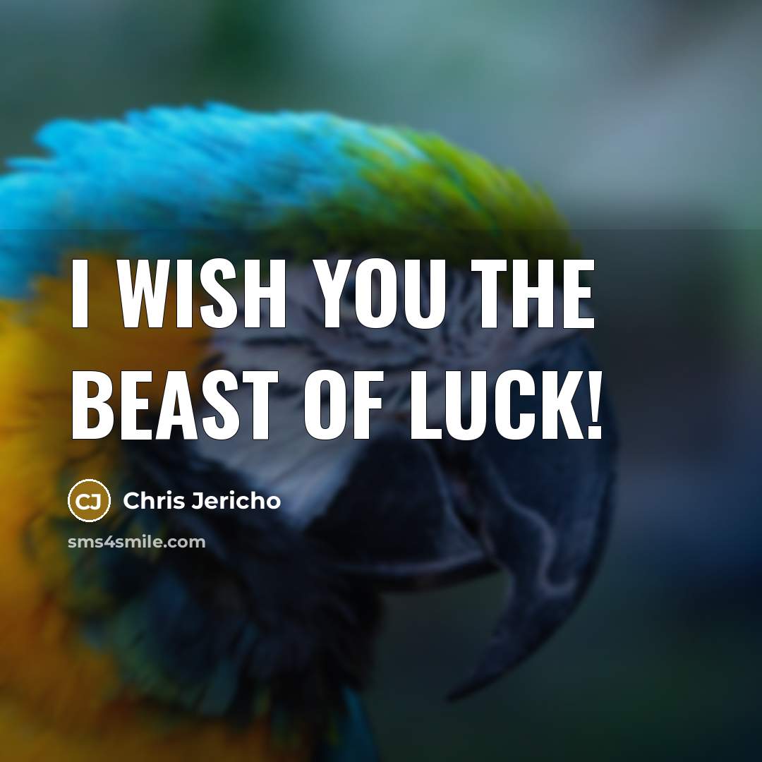 “I wish you the beast of luck!…” quote by Chris Jericho