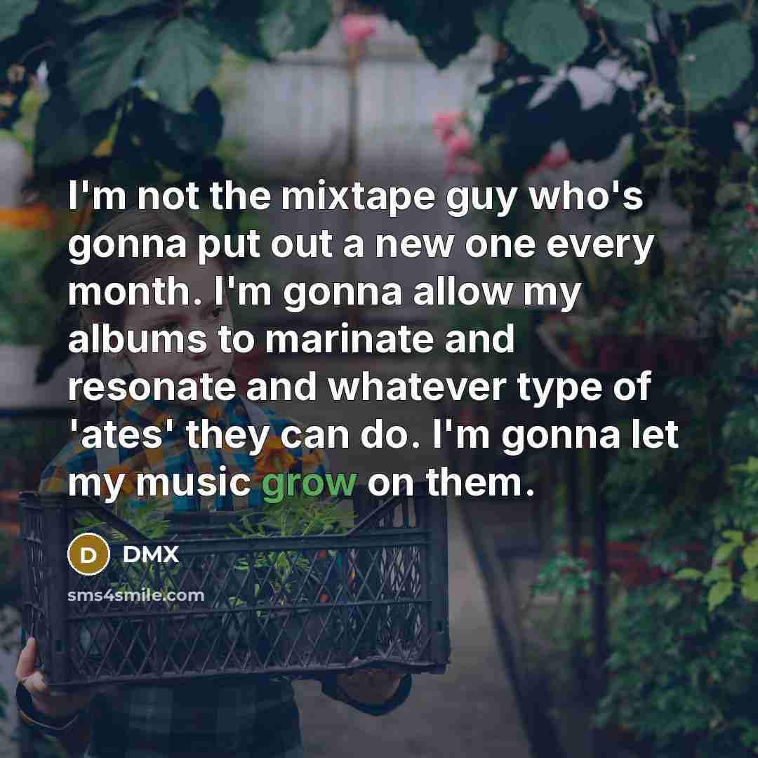 “I'm not the mixtape guy who's gonna put out a…” quote by DMX