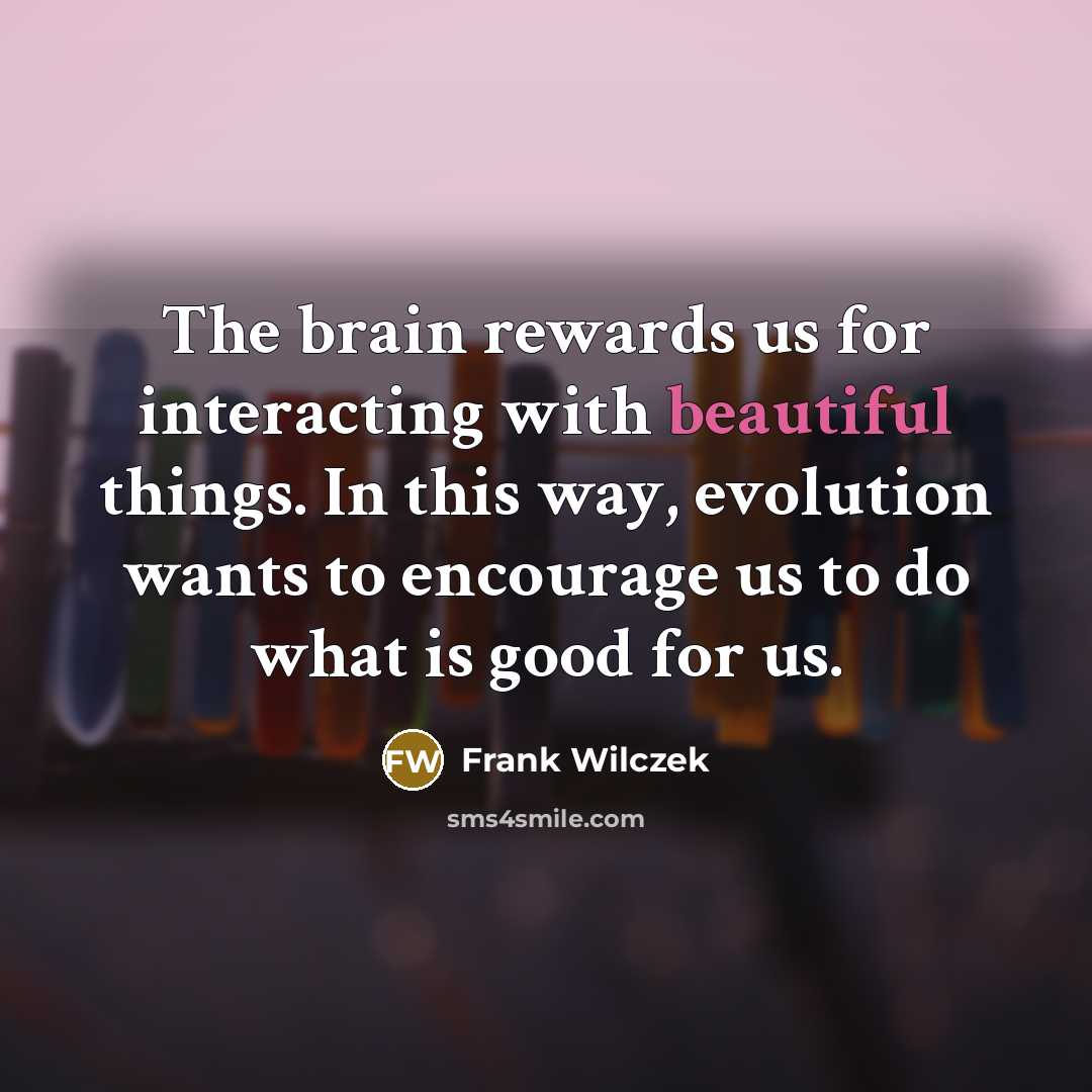 “The brain rewards us for interacting with beautiful things. In…” quote by Frank Wilczek