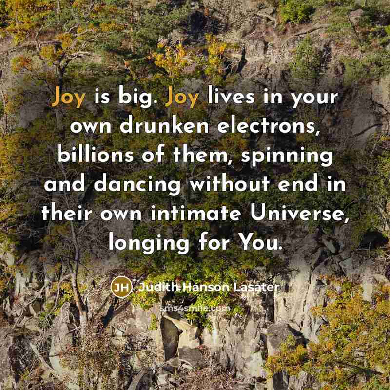 “Joy is big. Joy lives in your own drunken electrons,…” quote by Judith Hanson Lasater