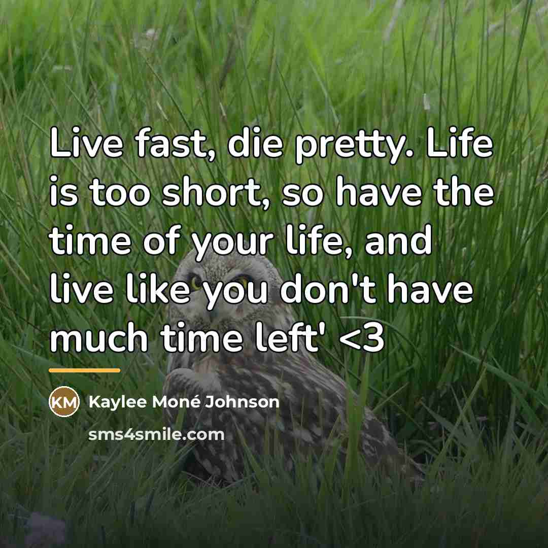 “Live fast, die pretty. Life is too short, so have…” quote by Anonymous