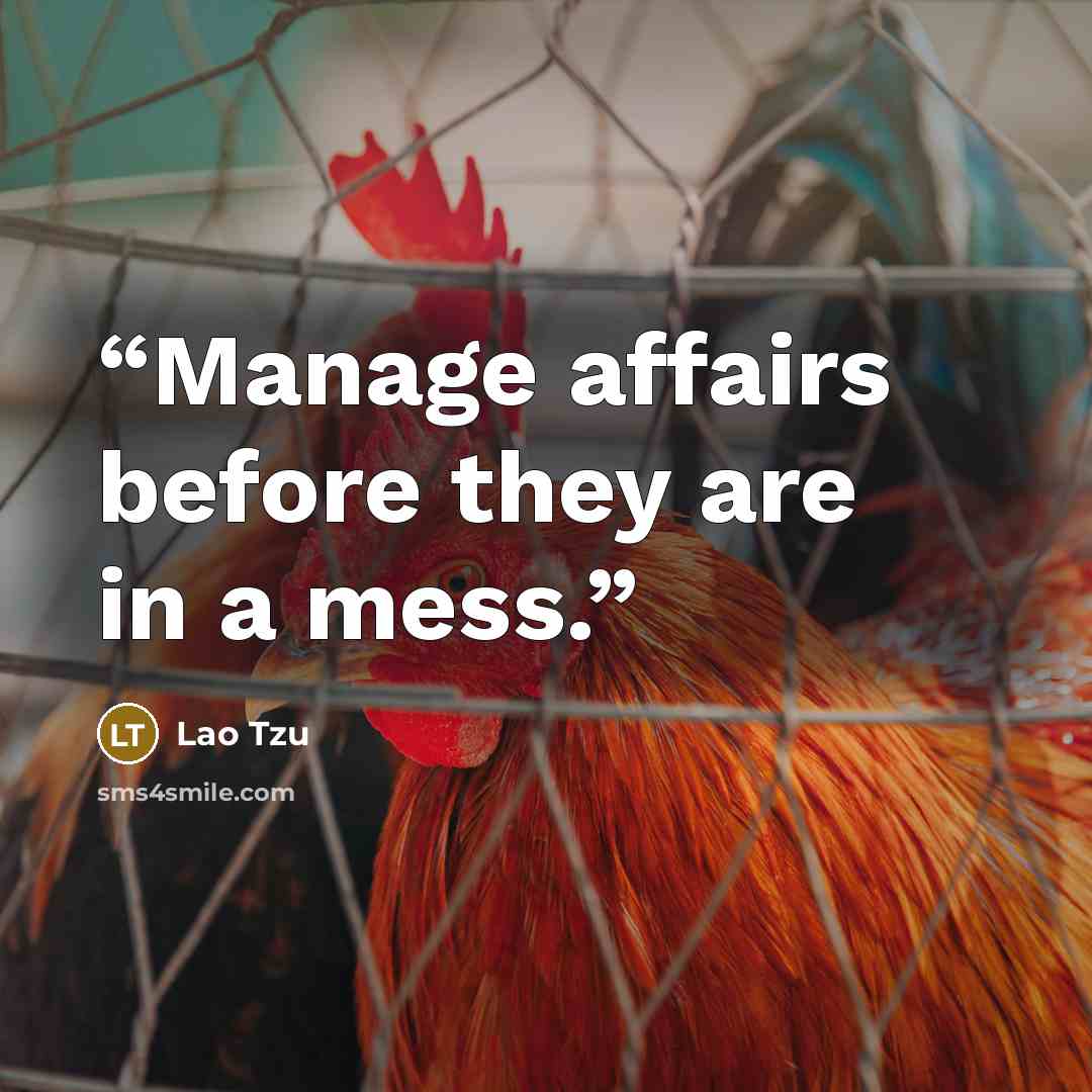 “Manage affairs before they are in a mess.” quote by Lao Tzu