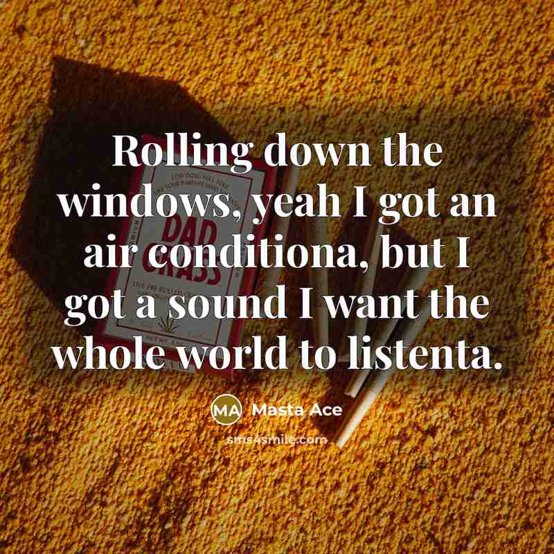 “Rolling down the windows, yeah I got an air conditiona,…” quote by Masta Ace