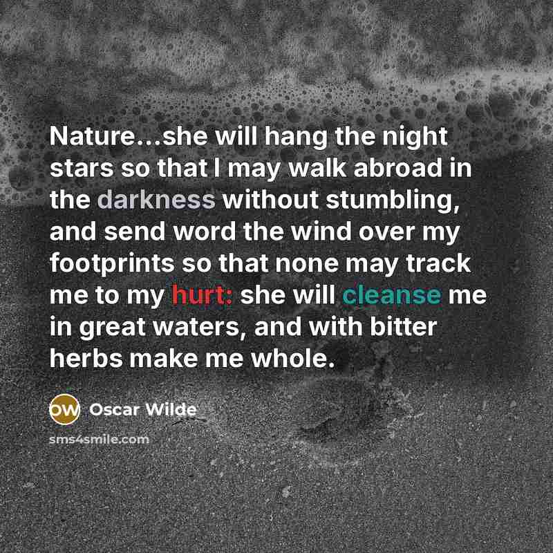 “Nature....she will hang the night stars so that I may…” quote by Oscar Wilde
