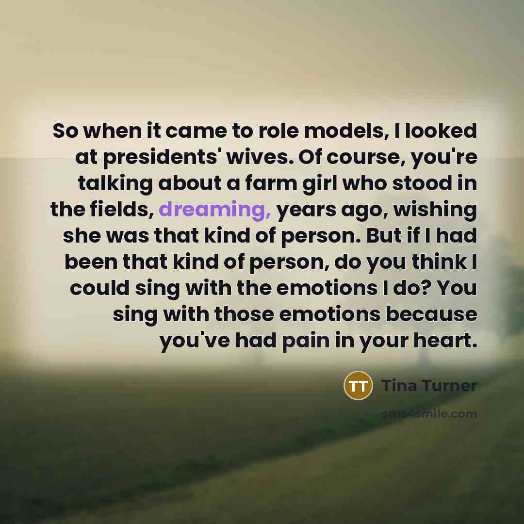 “So when it came to role models, I looked at…” quote by Tina Turner