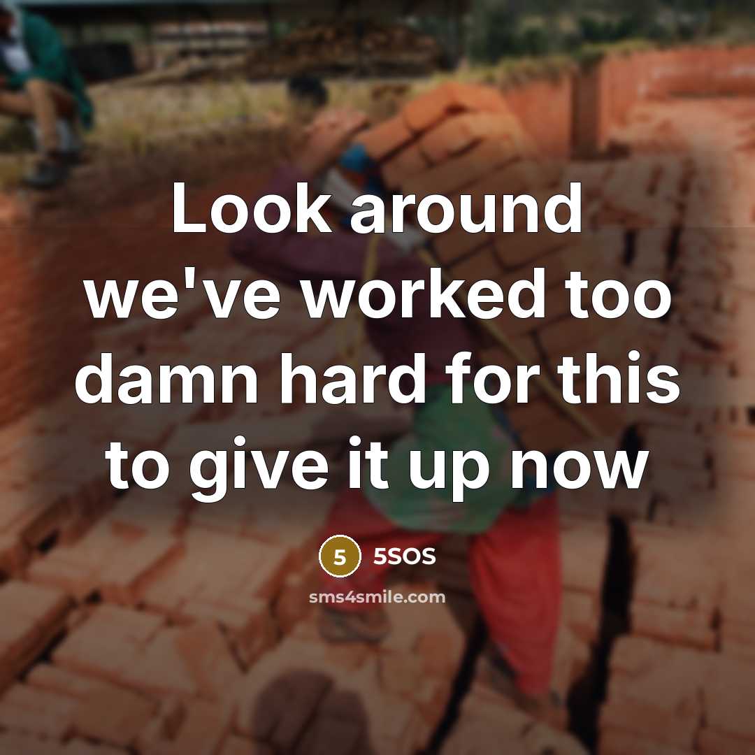 “Look around we've worked too damn hard for this to give it up now” quote by 5SOS