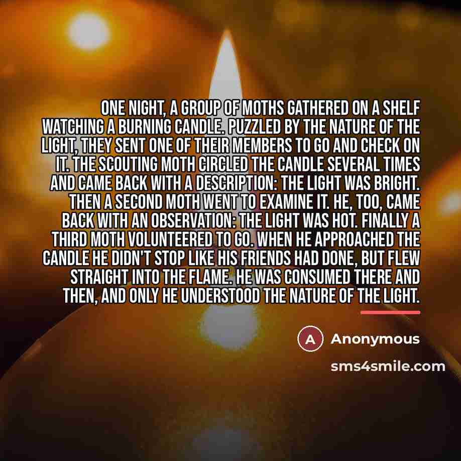 “One night, a group of moths gathered on a shelf…” quote by Anonymous