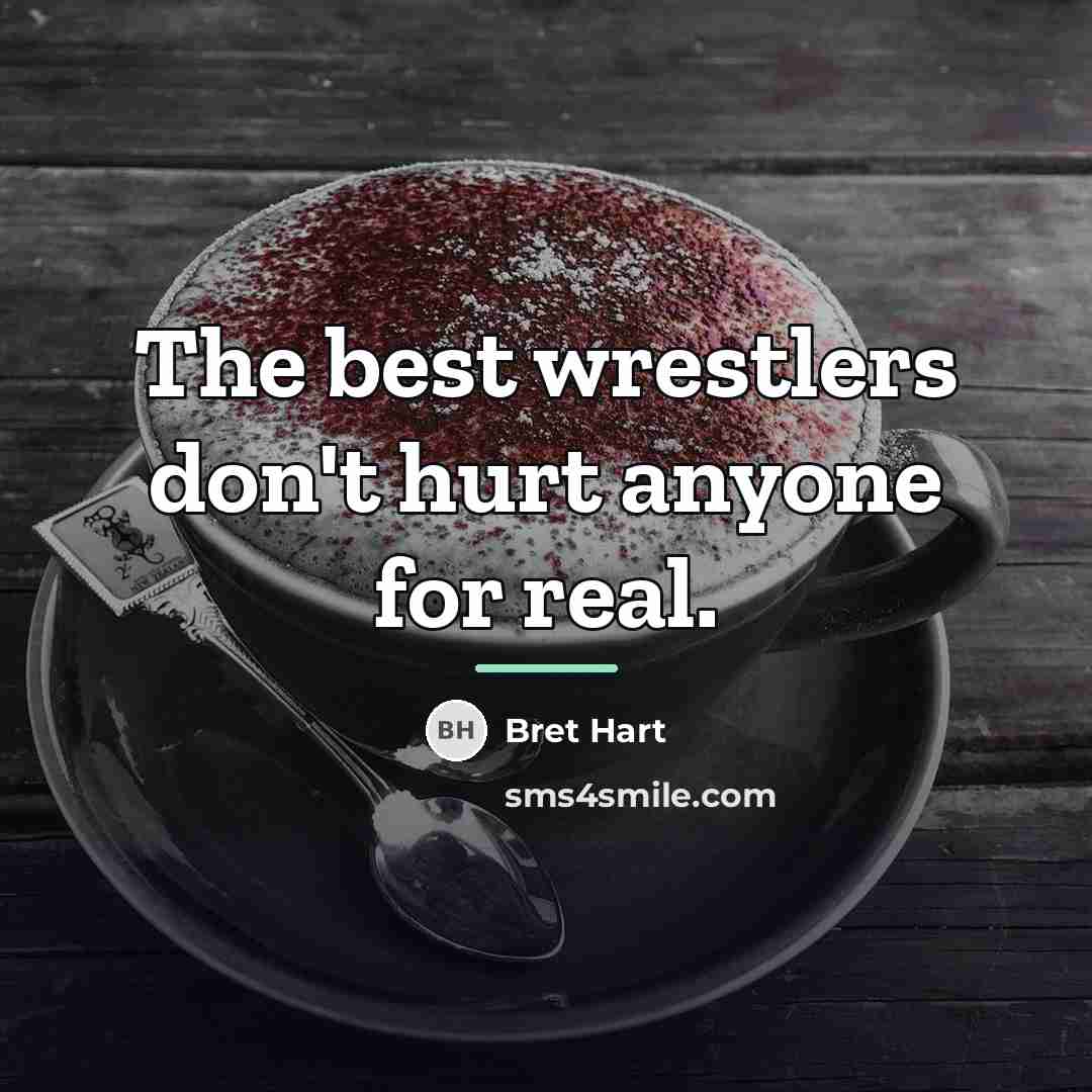 “The best wrestlers don't hurt anyone for real.…” quote by Bret Hart