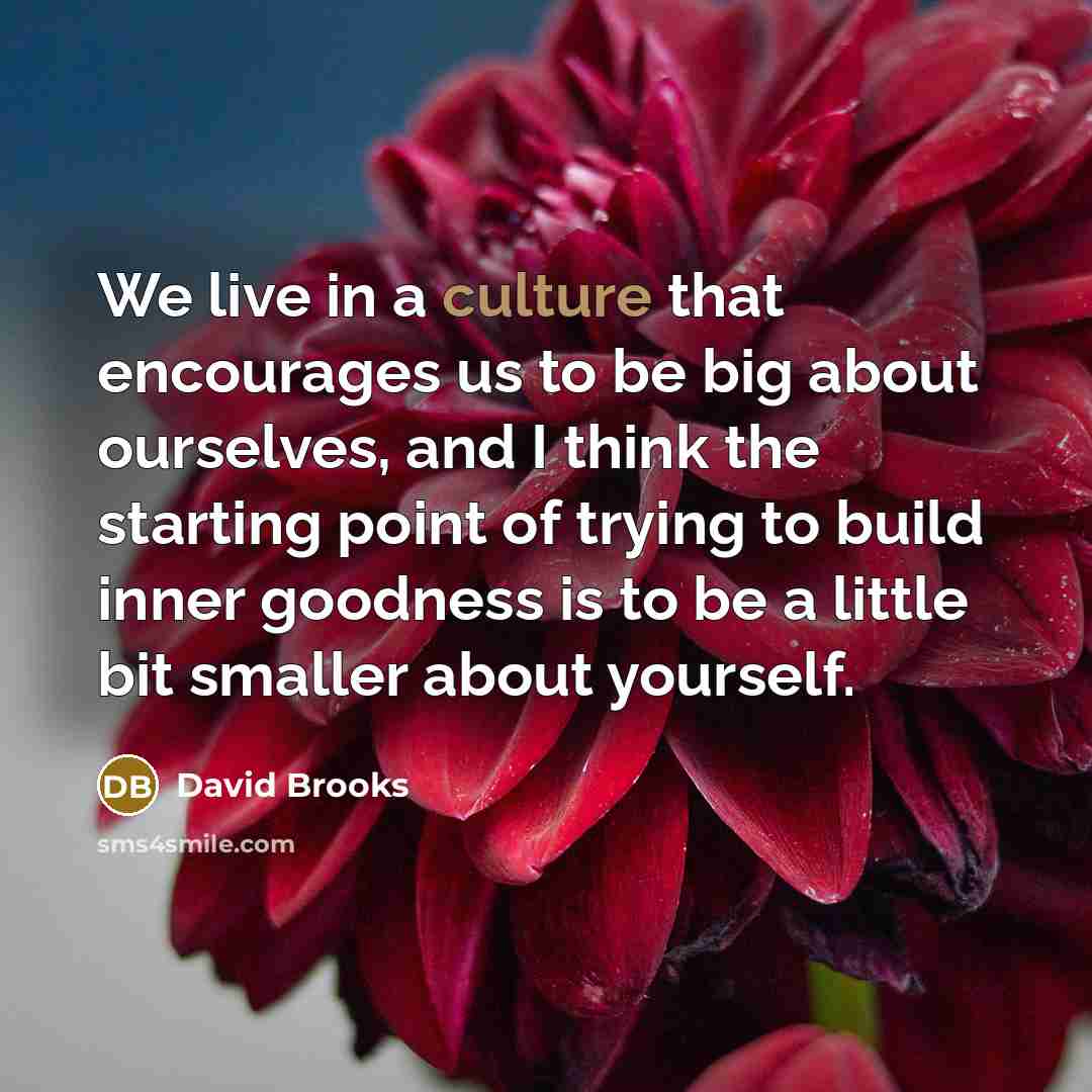 “We live in a culture that encourages us to be…” quote by David Brooks