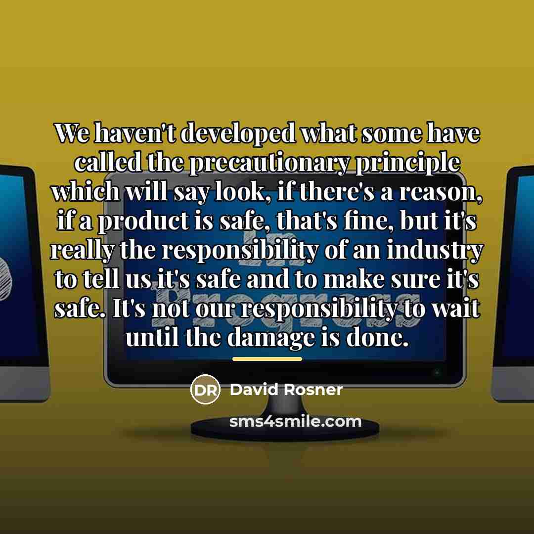 “We haven't developed what some have called the precautionary principle…” quote by David Rosner