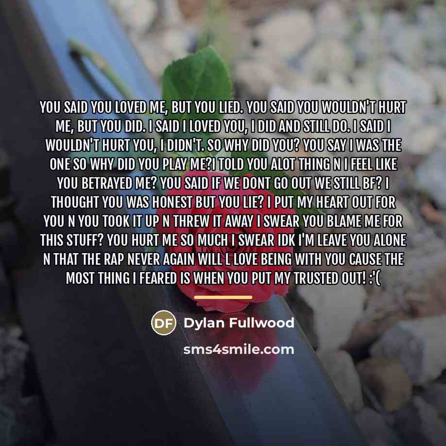 “You said you loved me, but you lied. You said…” quote by Dylan Fullwood