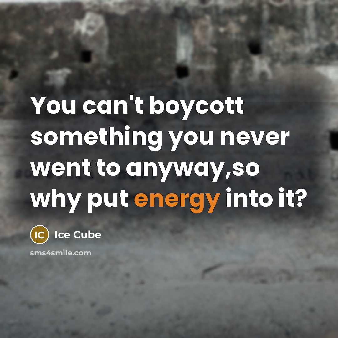 “You can't boycott something you never went to anyway,so why…” quote by Ice Cube
