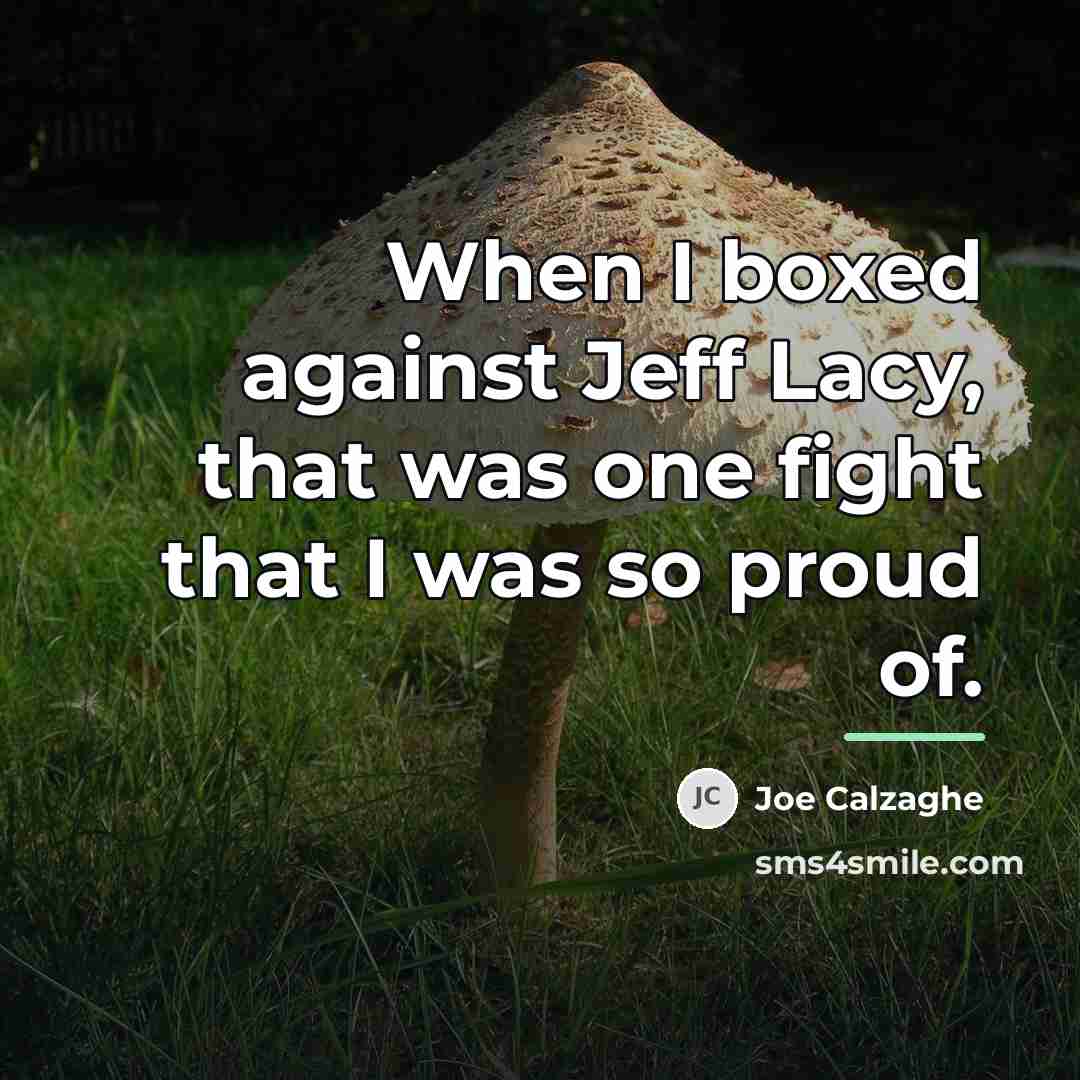 “When I boxed against Jeff Lacy, that was one fight…” quote by Joe Calzaghe