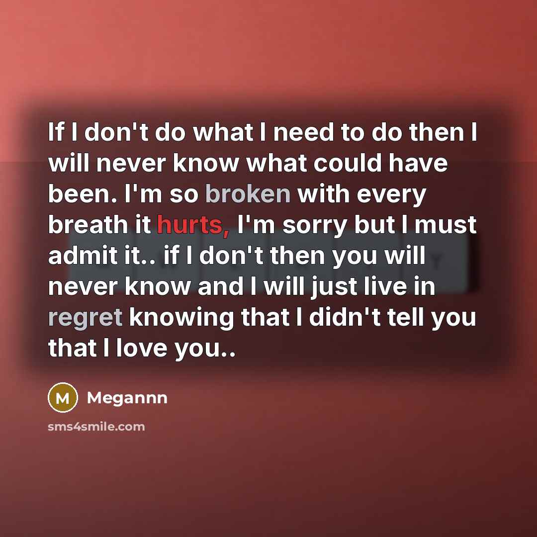 “If I don't do what I need to do then I will never know what could have been. I'm so broken with every breath it hurts, I'm sorry but I must admit it.. if I don't then you will never know and I will just live in regret knowing that I didn't tell you that I love you..” quote by Megannn
