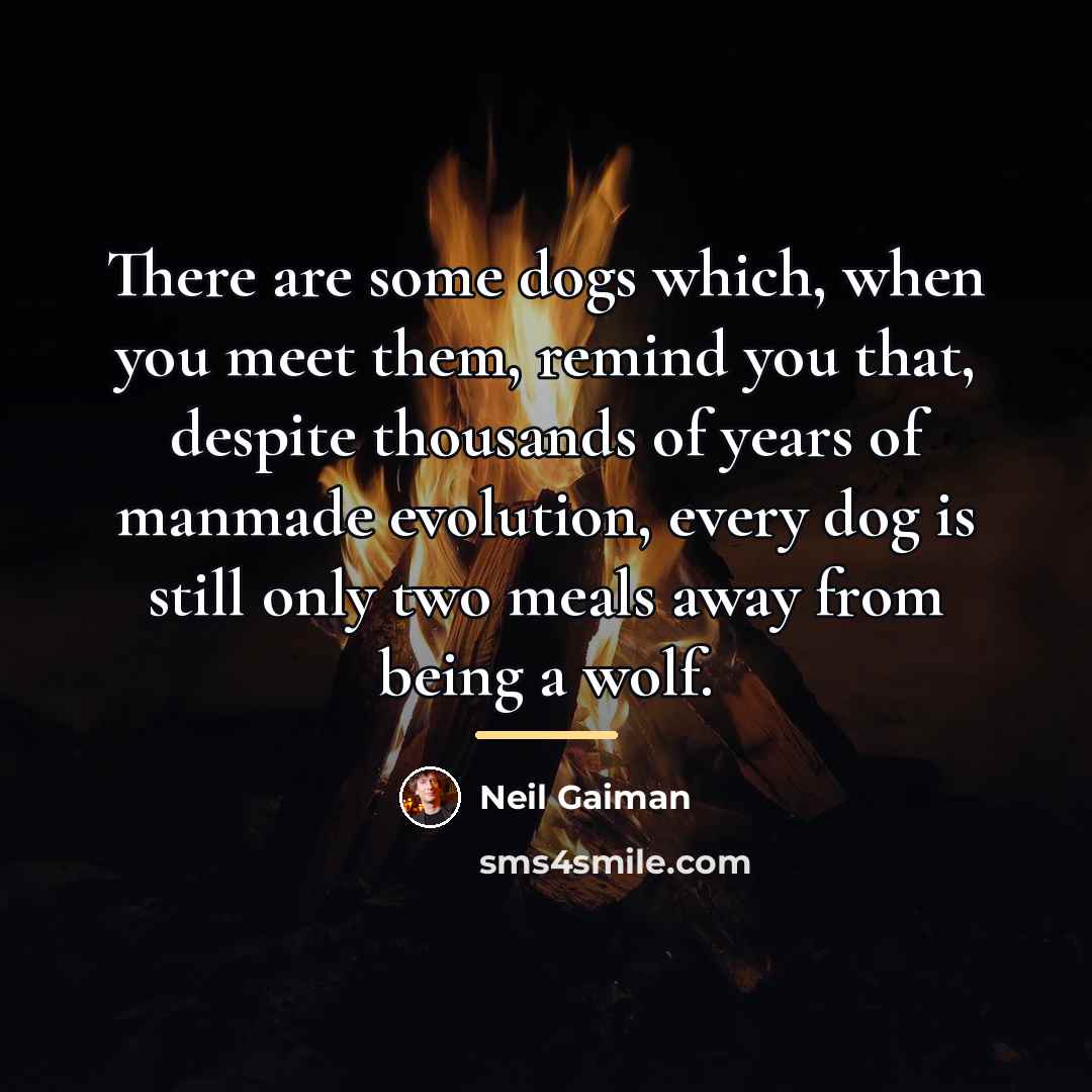 “There are some dogs which, when you meet them, remind…” quote by Neil Gaiman