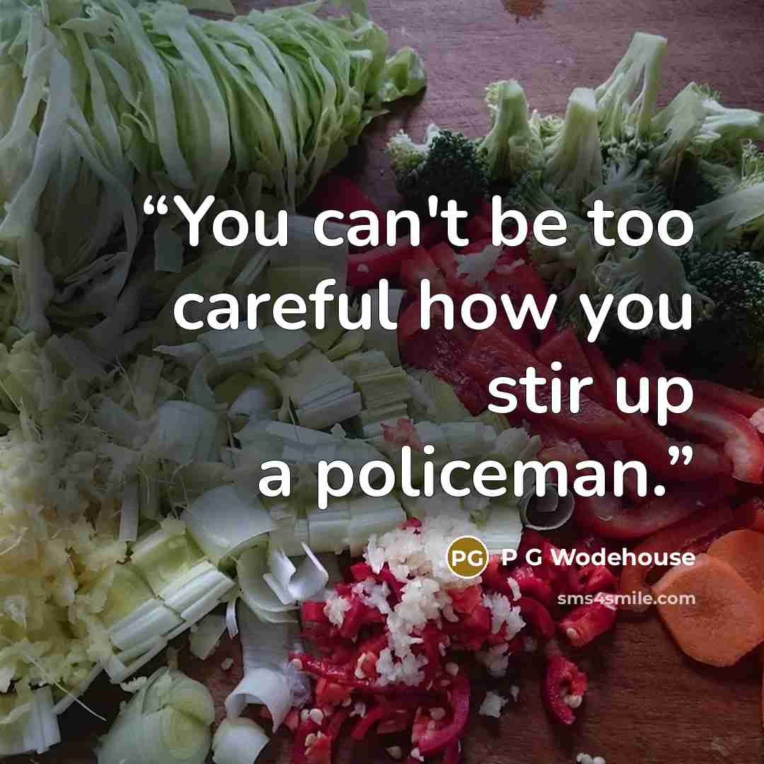 “You can't be too careful how you stir up a policeman.” quote by P G Wodehouse