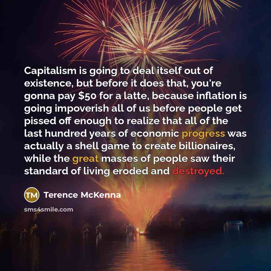 “Capitalism is going to deal itself out of existence, but…” quote by Terence McKenna