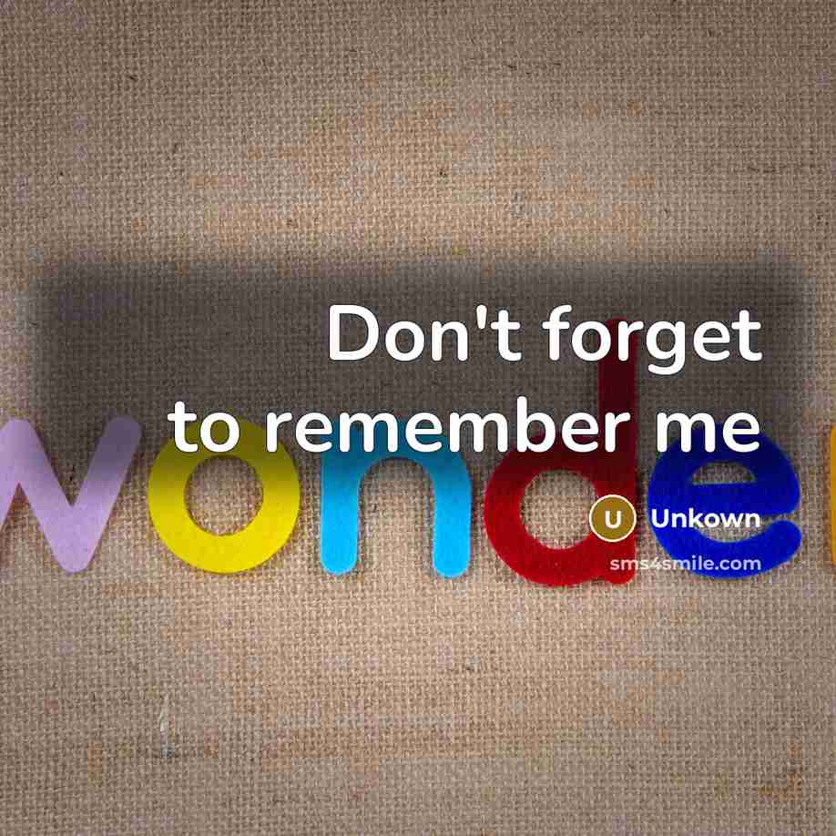 “Don't forget to remember me…” quote by Unkown