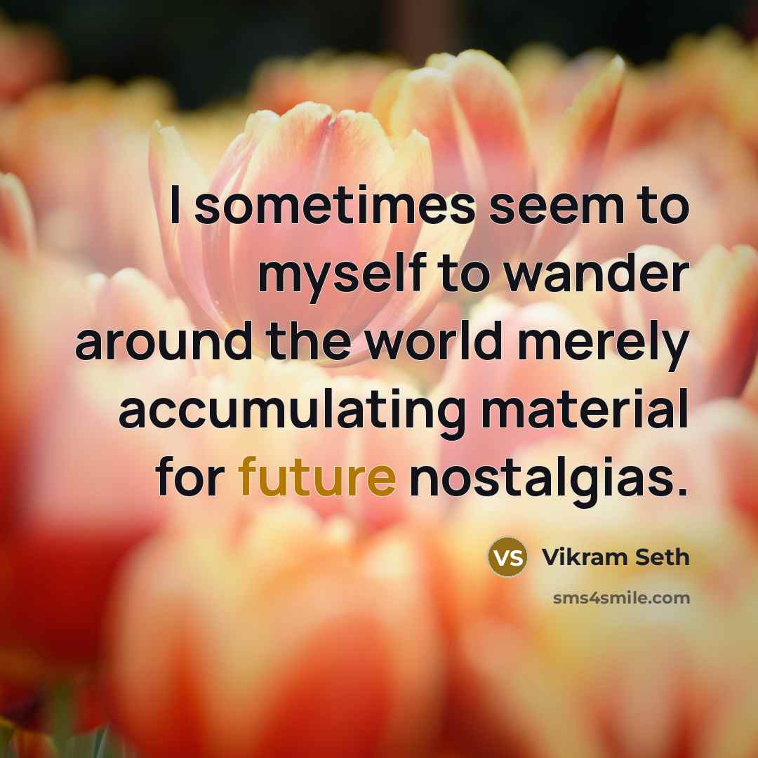 “I sometimes seem to myself to wander around the world…” quote by Vikram Seth