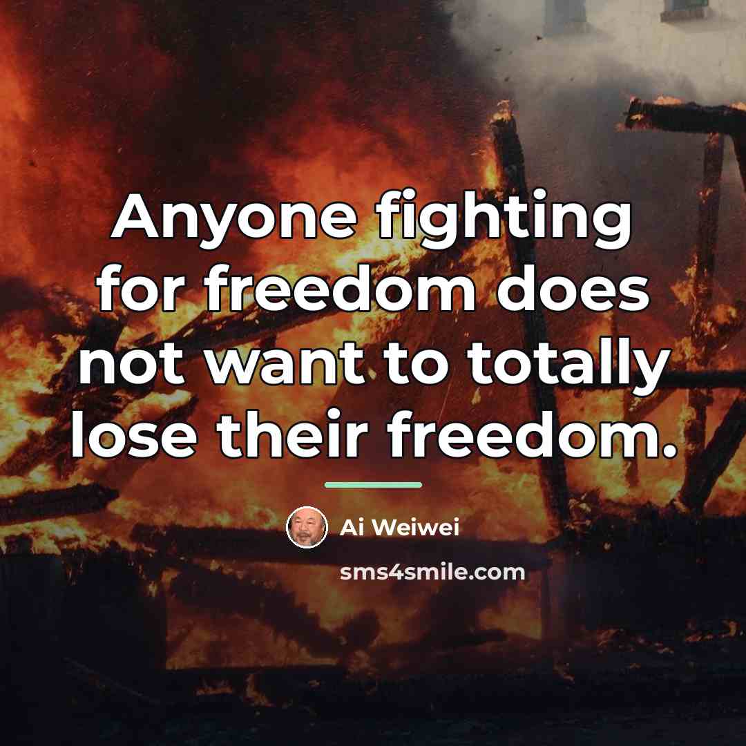 “Anyone fighting for freedom does not want to totally lose…” quote by Ai Weiwei