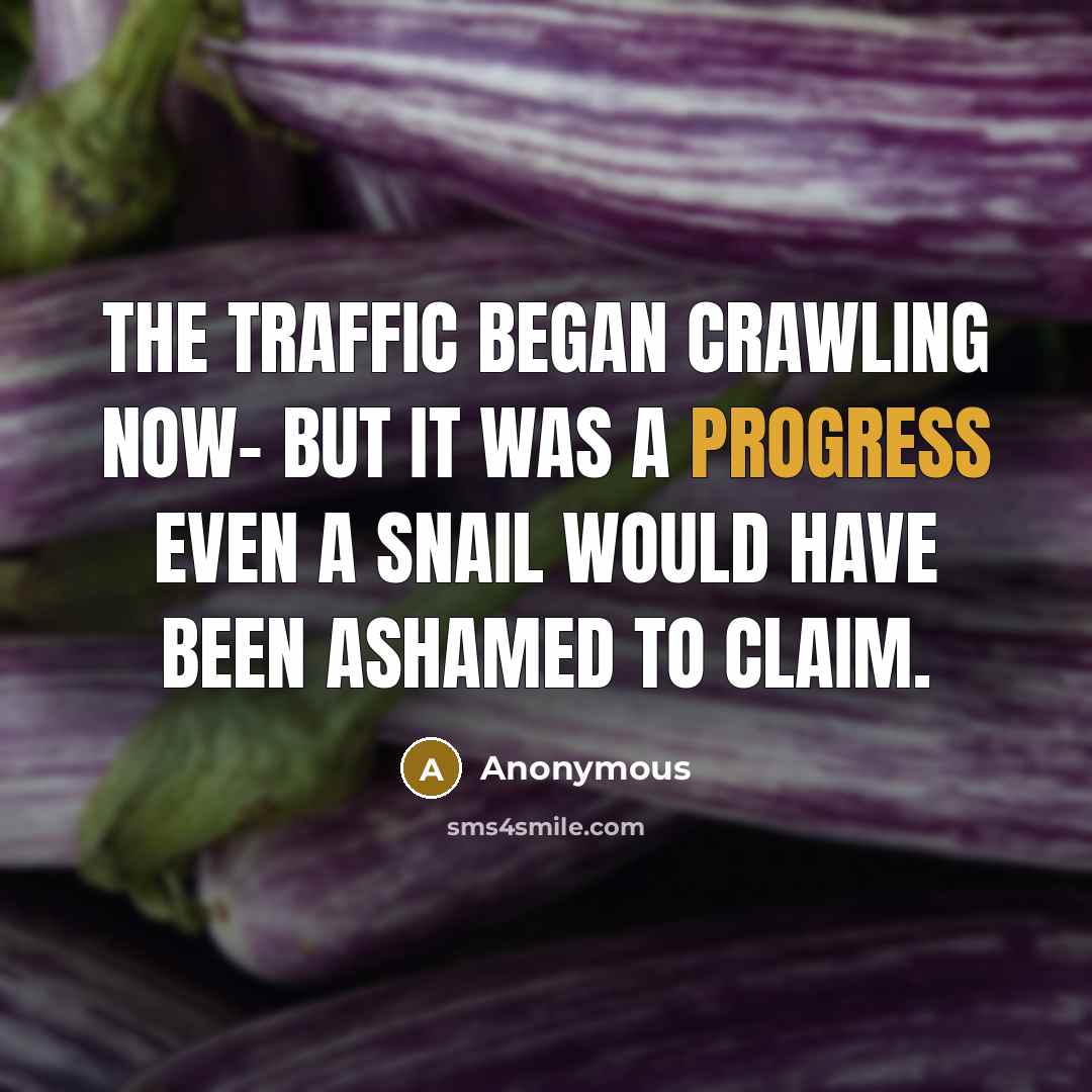 “The traffic began crawling now- but it was a progress…” quote by Anonymous