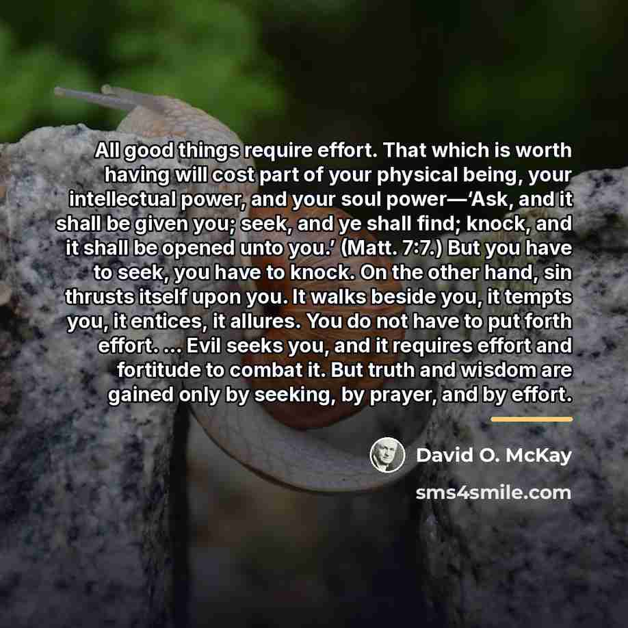 “All good things require effort. That which is worth having…” quote by David O. McKay