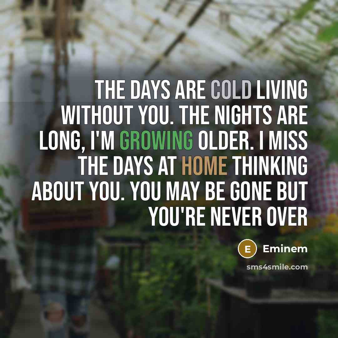“The days are cold living without you. The nights are…” quote by Eminem