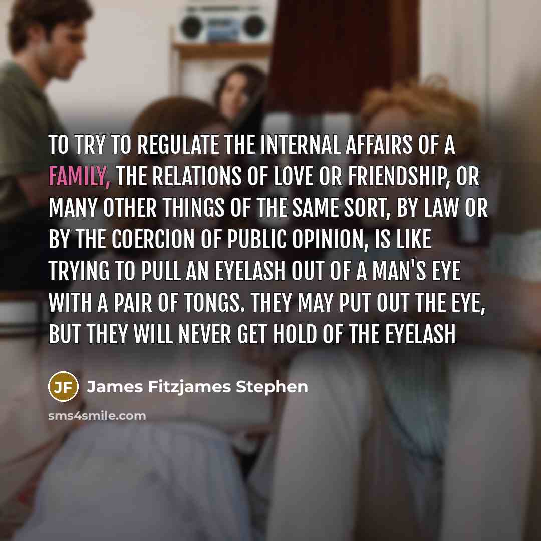 “To try to regulate the internal affairs of a family,…” quote by James Fitzjames Stephen