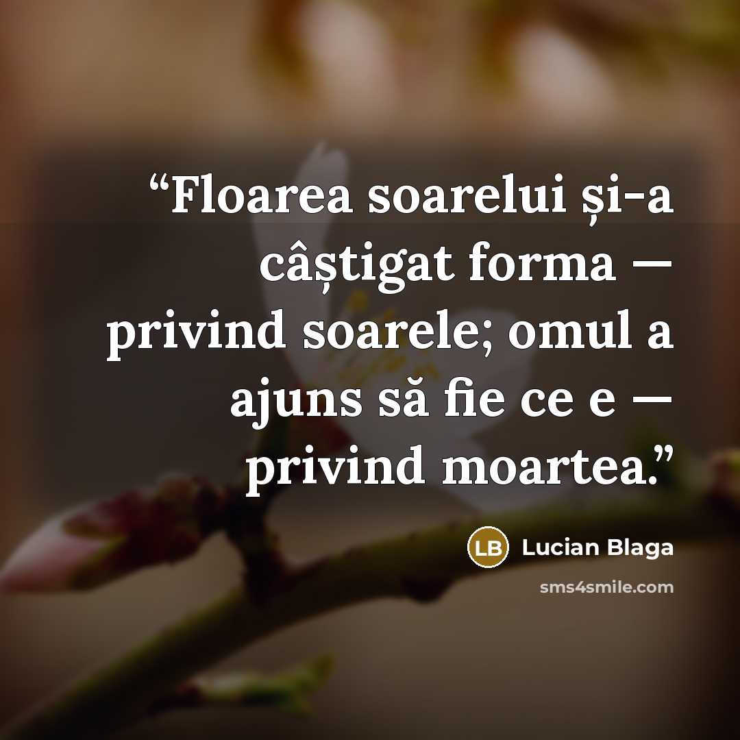 “Floarea soarelui și-a câștigat forma — privind soarele; omul a ajuns să fie ce e — privind moartea.” quote by Lucian Blaga