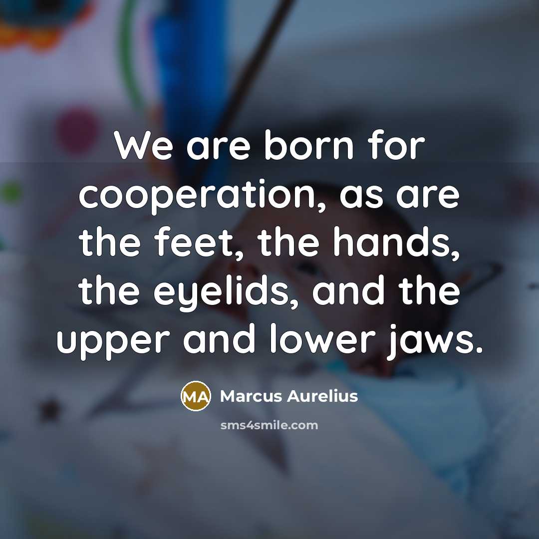 “We are born for cooperation, as are the feet, the…” quote by Marcus Aurelius