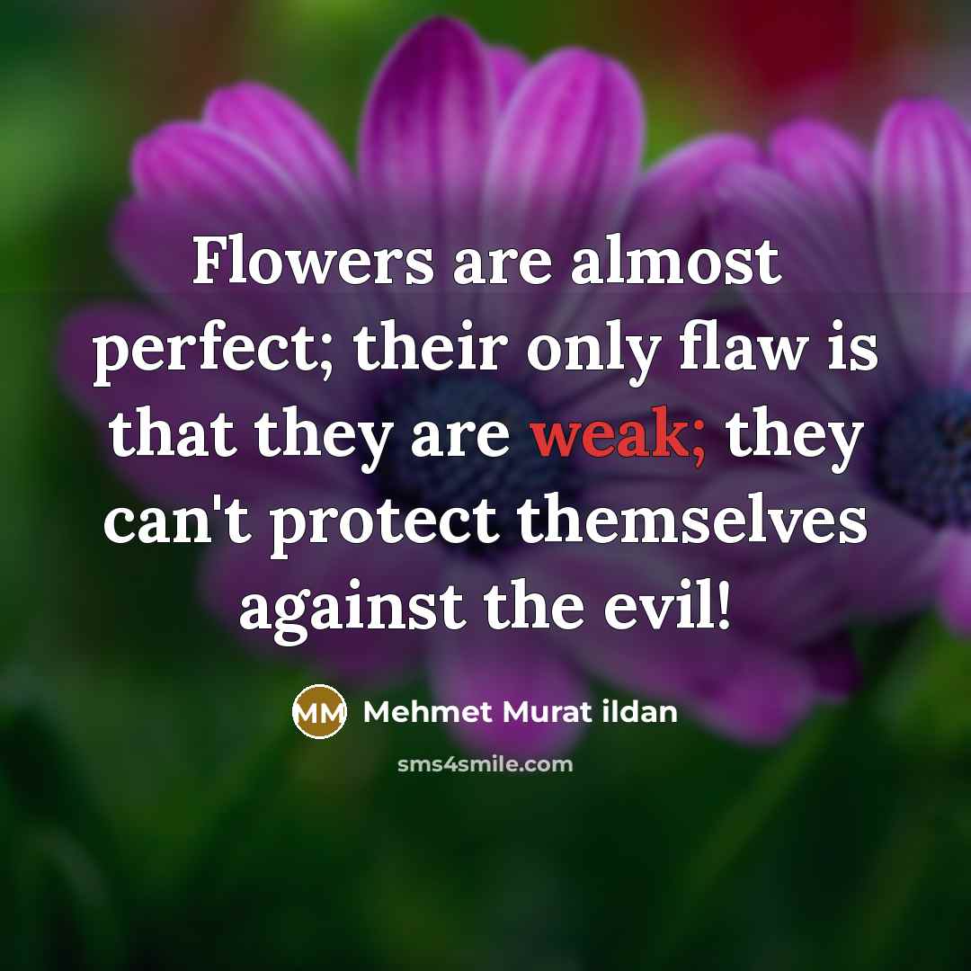 “Flowers are almost perfect; their only flaw is that they…” quote by Mehmet Murat Ildan
