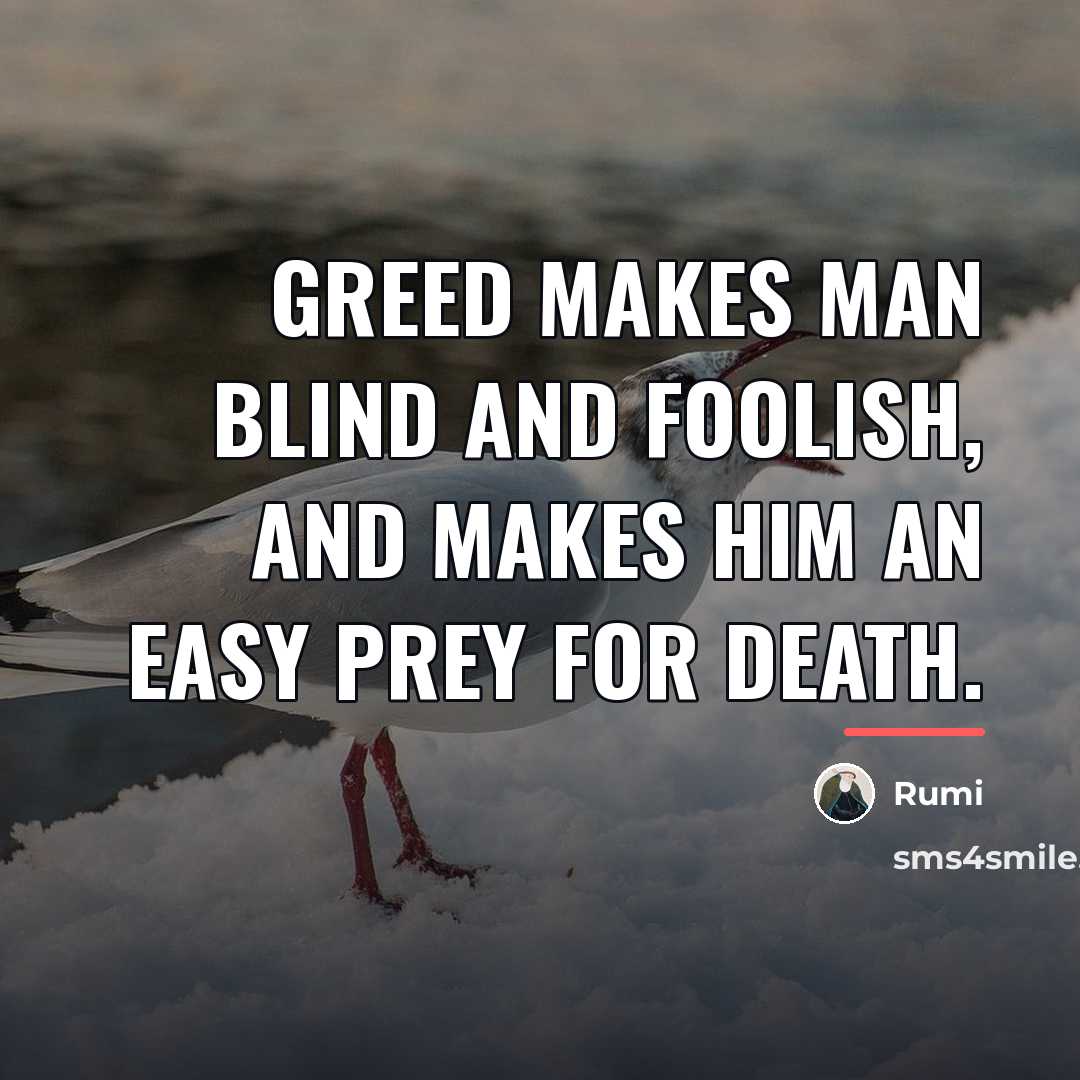 “Greed makes man blind and foolish, and makes him an…” quote by Rumi