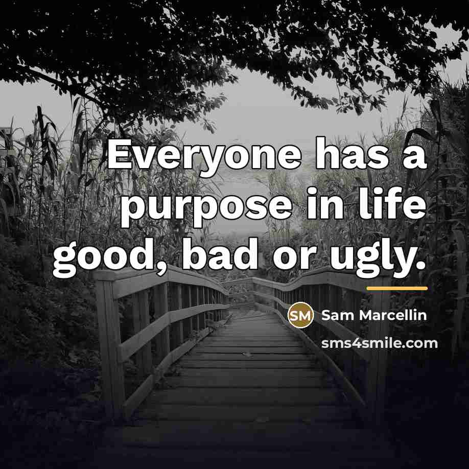 “Everyone has a purpose in life good, bad or ugly.…” quote by Sam Marcellin