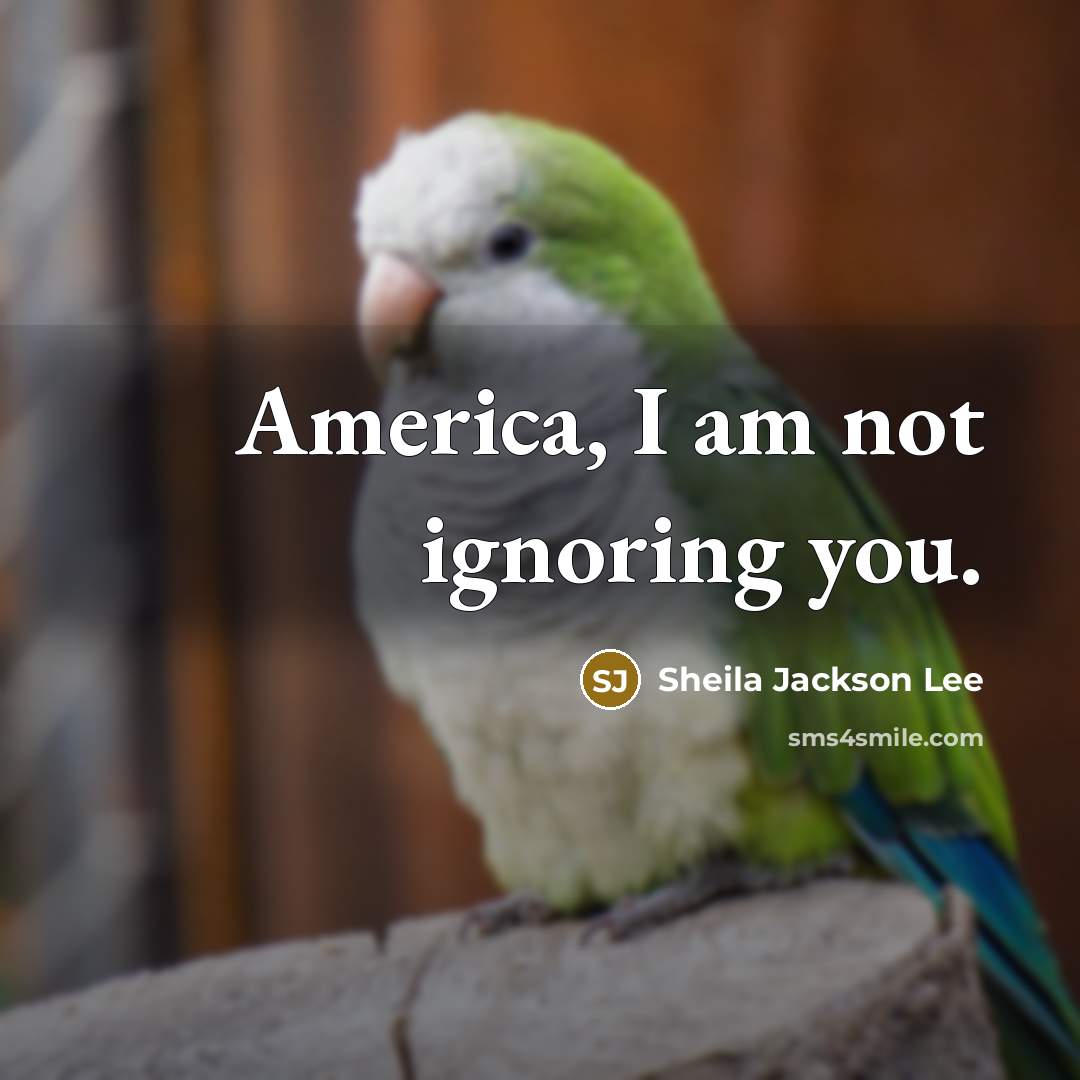 “America, I am not ignoring you.…” quote by Sheila Jackson Lee