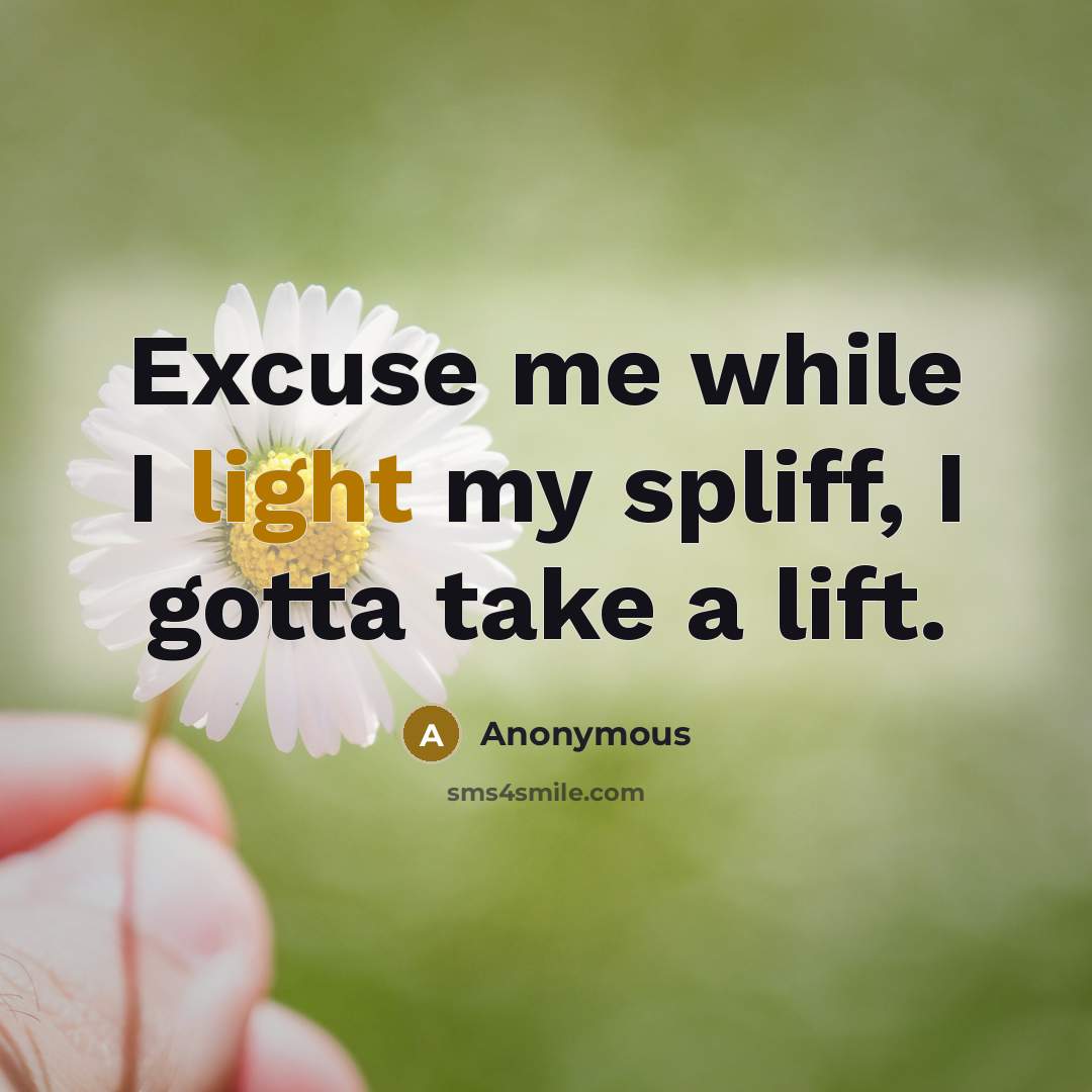 “Excuse me while I light my spliff, I gotta take a lift.” quote by Anonymous